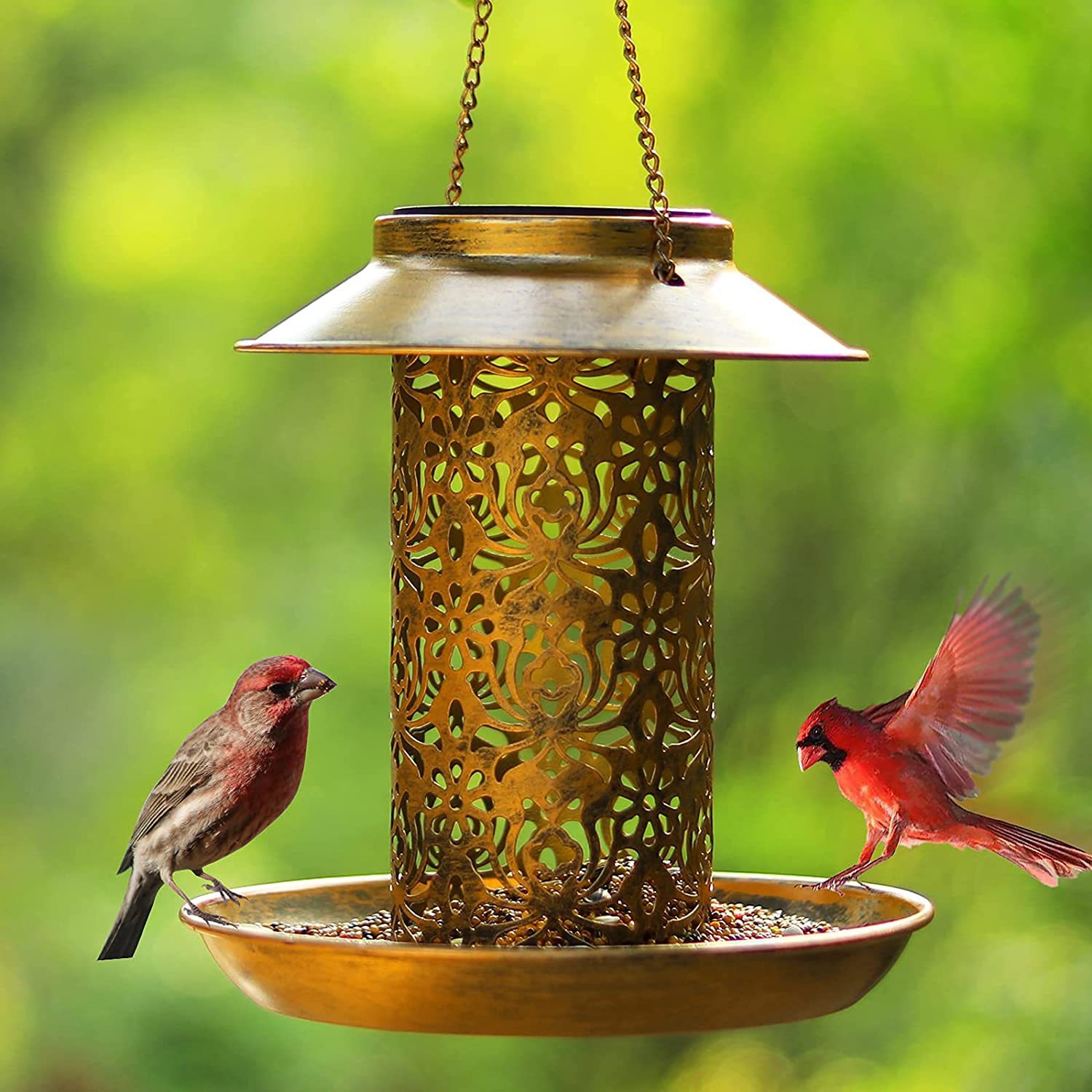 Outdoor Lighting Ideas For Backyard - Maison d'oiseaux suspendue en métal, mangeoire