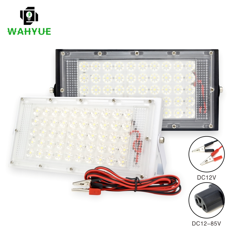 DC 12 V-85 V 50 W LED projecte - Outdoor Lighting Volt avis et prix