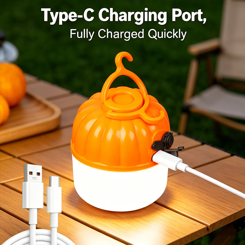 Mini Lampe LED Portable en For - Outdoor Lighting Led Strip avis et prix