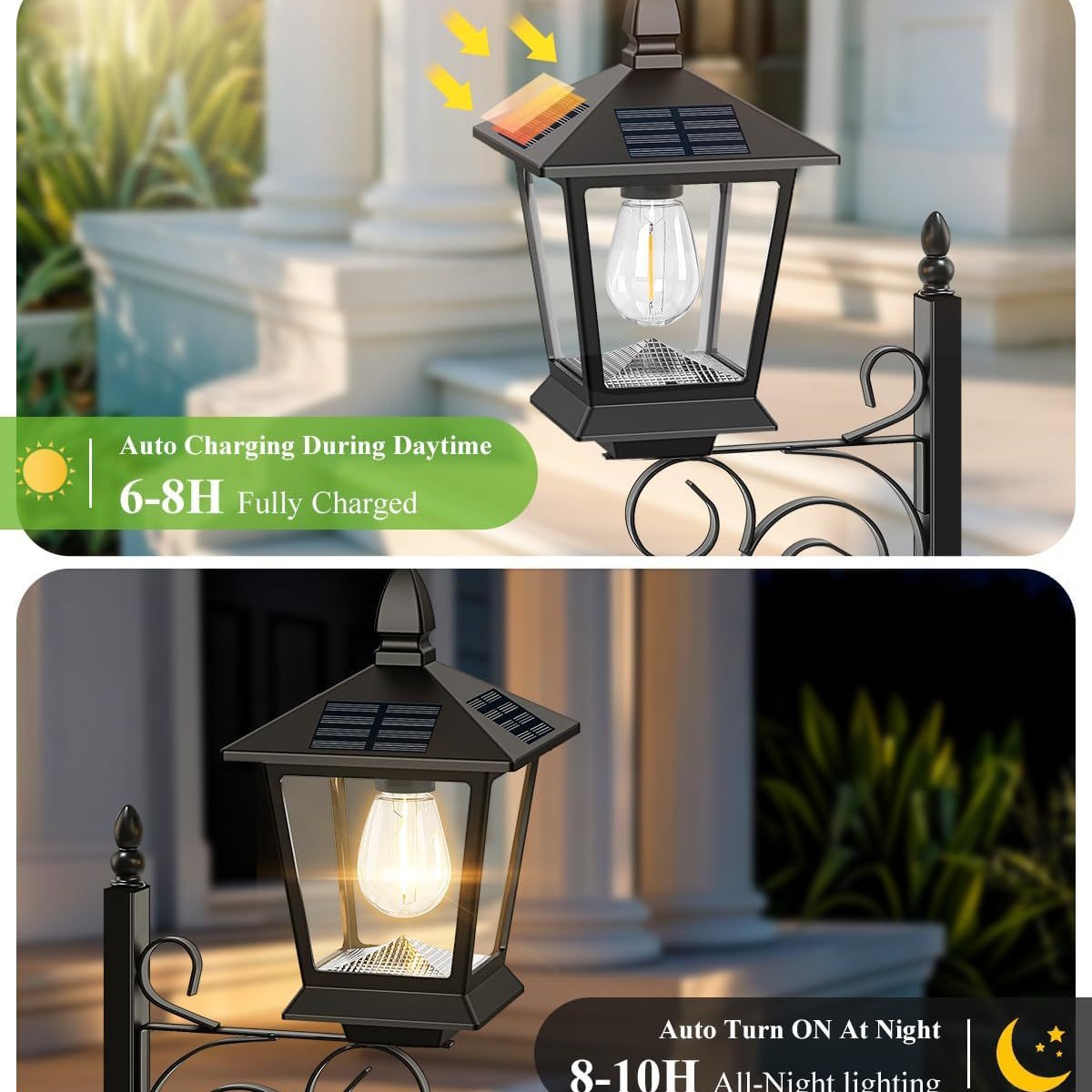 Lampe solaire 2 en 1 pour plan - Outdoor Lighting Decoration avis et prix