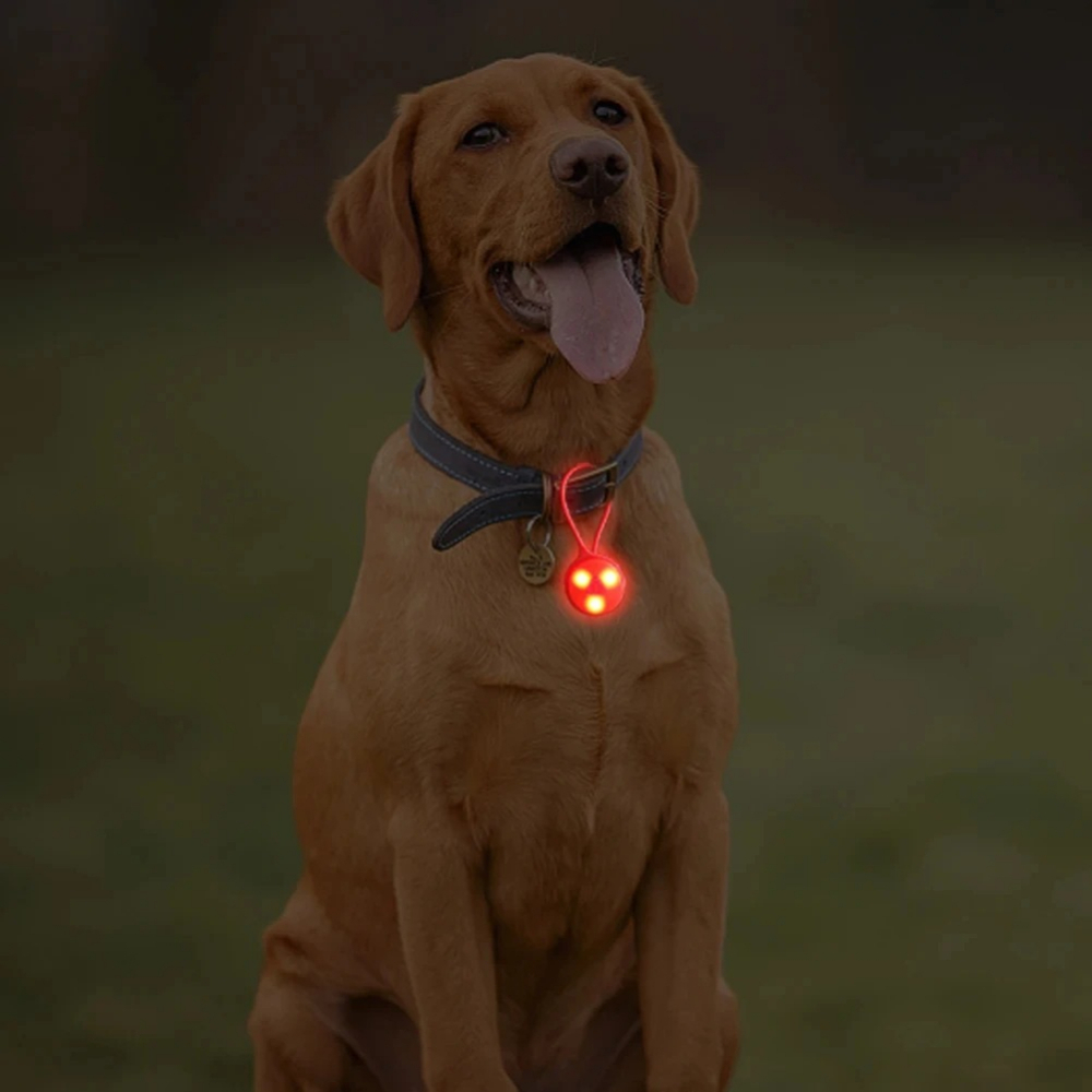Lumières de sac à dos d'extéri - Outdoor Lighting Led Strip avis et prix