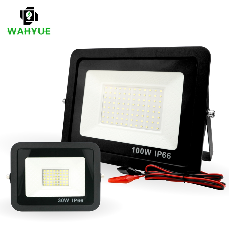 20W 30W 50W 100W DC12V Led pro - Outdoor Lighting Volt avis et prix