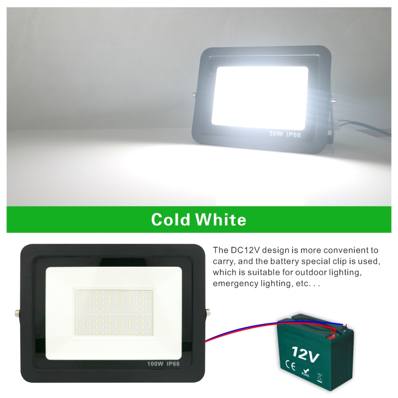 20W 30W 50W 100W DC12V Led pro - Outdoor Lighting Volt avis et prix